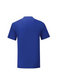 FRUIT OF THE LOOM - Kultowa Koszulka Unisex Dla Dorosłych. Kolor: niebieski