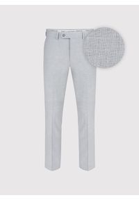 Pako Lorente - Jasnoszare spodnie ganiturowe. Kolor: szary. Materiał: wiskoza, poliester, elastan. Wzór: gładki. Sezon: wiosna, lato #1
