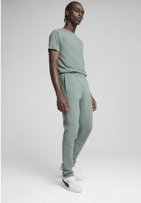 Puma - Męskie spodnie EVOSTRIPE PUMA Green Moon. Kolor: zielony