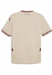 Puma - Męska koszulka FC Red Bull Salzburg 24/25 International PUMA. Kolor: czerwony, wielokolorowy, beżowy