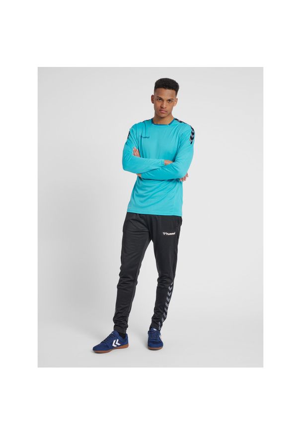 Hummel koszulka męska z długim rękawem hml Authentic Poly Jersey. Kolor: wielokolorowy, fioletowy, niebieski, zielony. Materiał: jersey. Długość rękawa: długi rękaw. Długość: długie
