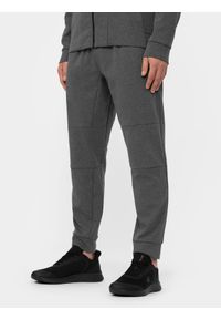 4f - Spodnie treningowe szybkoschnące męskie. Kolor: szary. Materiał: dzianina. Sport: fitness #2