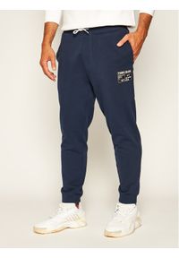 Spodnie dresowe Tommy Jeans. Kolor: niebieski. Materiał: dresówka #1