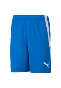 Puma - Spodenki piłkarskie męskie PUMA Teamliga. Kolor: niebieski, biały, wielokolorowy. Sport: piłka nożna