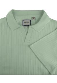 Dzianinowa Koszulka Polo - Dekolt Bez Guzików - Brave Soul - Bladozielona. Okazja: na co dzień. Typ kołnierza: polo. Kolor: zielony. Materiał: elastan, bawełna. Styl: casual #4
