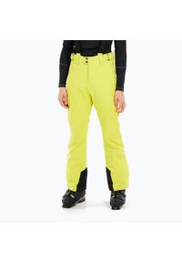 Spodnie snowboardowe męskie Protest Prtrowens. Kolor: żółty, zielony, wielokolorowy. Sezon: zima. Sport: snowboard #1