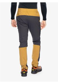 Spodnie trekkingowe męskie Helly Hansen Hovda Tur Pant. Kolor: brązowy