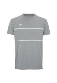 TECNIFIBRE - Koszulka tenisowa męska z krótkimrękawem Tecnifibre Team Tech Tee. Kolor: szary. Sport: tenis