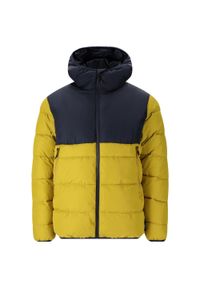 Kurtka puchowa Whistler Sareto. Kolor: zielony. Materiał: puch. Sezon: zima. Sport: narciarstwo #1