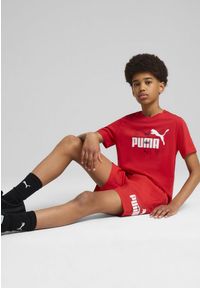 Puma - Młodzieżowa koszulka Essentials Logo Lab Summer PUMA For All Time Red. Kolor: czerwony. Materiał: guma. Wzór: nadruk. Sezon: lato