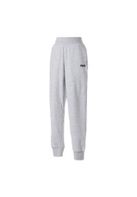 Puma Spodnie Ess Closed 84720402. Kolor: szary. Długość: długie