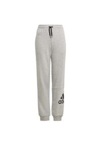 Adidas - Spodnie dziecięce adidas Essentials Big Logo. Kolor: czarny, szary, wielokolorowy. Sport: joga i pilates