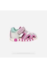 Geox - Sandały GEOX B SANDAL IUPIDOO GIR Biały. Kolor: różowy, biały, wielokolorowy. Materiał: tkanina, syntetyk. Sezon: lato #2