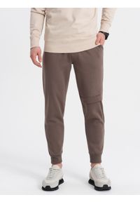 Ombre Clothing - Spodnie męskie dresowe z przeszyciem i zamkiem na nogawce - brązowe V4 - Rozmiar: XXL. Kolor: brązowy. Materiał: dresówka. Wzór: nadruk #4