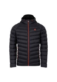 DARE 2B - Męska Kurtka Torrek Mountain Baffled Padded Jacket. Kolor: czarny. Materiał: puch. Sport: turystyka piesza