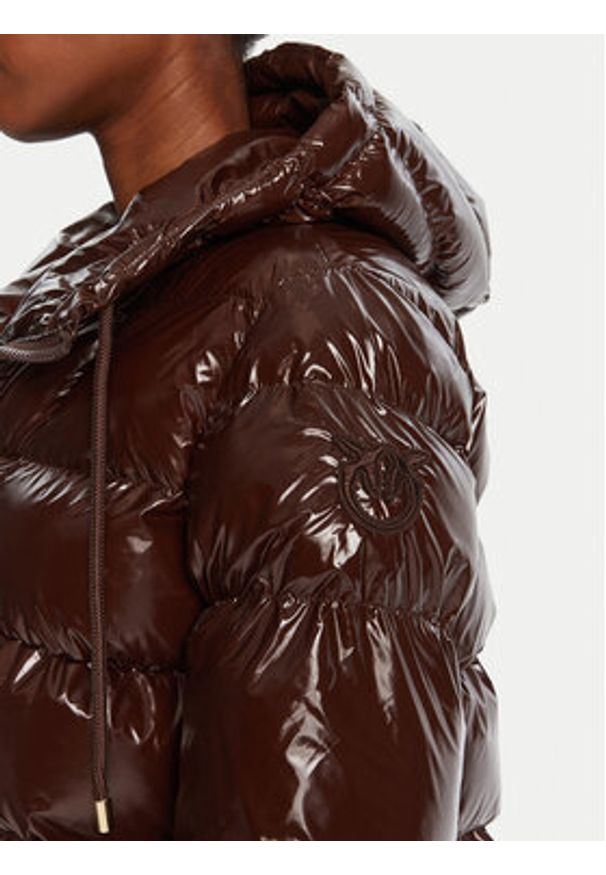 Pinko - PINKO Kurtka zimowa Eleodoro 101597 A2P7 Brązowy Regular Fit. Kolor: brązowy. Materiał: syntetyk. Sezon: zima