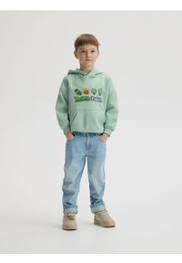 Reserved - Bluza PLANTS VS ZOMBIES - jasnozielony. Kolor: zielony. Materiał: dzianina, bawełna #1