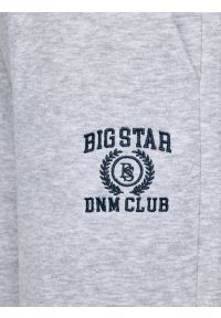 Big-Star - Spodnie damskie dresowe wide szare Madelinap 901. Kolor: szary. Materiał: dresówka. Wzór: haft, aplikacja