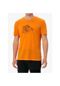 Koszulka szybkoschnąca męska Vaude Tekoa T-Shirt III. Kolor: pomarańczowy. Sezon: lato. Sport: turystyka piesza #1