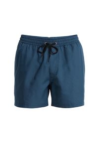 Quiksilver - Szorty kąpielowe dla Mężczyzn EVERYDAY DELUXE 15" Czarny. Kolor: niebieski. Materiał: tkanina, poliester. Styl: sportowy #1