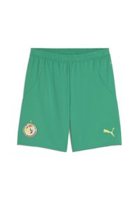 Puma - Męskie szorty Senegal 2025 PUMA Sport Green Electric Lime. Kolor: zielony. Wzór: aplikacja. Sport: piłka nożna