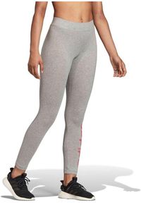 Legginsy damskie do treningu Adidas W Essentials Linear Tight szare. Kolor: szary. Sport: fitness