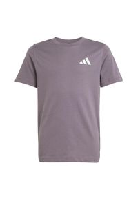 Adidas - Koszulka Mercedes - Amg Petronas Formula One Team Premium Woven Graphic. Kolor: fioletowy, zielony, wielokolorowy. Materiał: materiał. Sport: joga i pilates