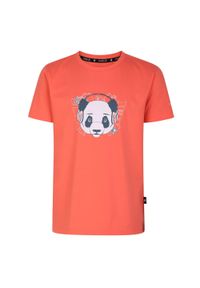 DARE 2B - Dziecięca/dziecięca Koszulka Trailblazer Z Nadrukiem Graficznym. Kolor: wielokolorowy, pomarańczowy, żółty. Wzór: nadruk #1