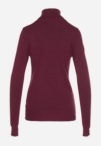 Born2be - Ciemnobordowy Golf Sweter z Wiskozą i Kaszmirem Zailaya. Okazja: na co dzień. Typ kołnierza: golf. Kolor: czerwony. Materiał: kaszmir, wiskoza. Styl: casual