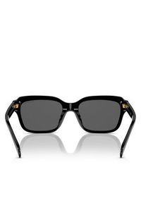 Lauren Ralph Lauren Okulary przeciwsłoneczne 0RA5312U 500187 Czarny. Kolor: czarny