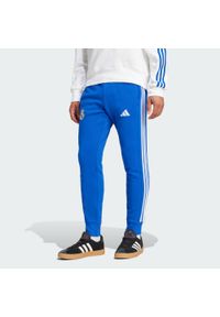 Adidas - Spodnie Real Madrid DNA. Kolor: zielony, niebieski, wielokolorowy. Materiał: dresówka. Sport: piłka nożna #1