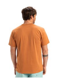 Quiksilver - Koszulka z krótkim rękawem dla Mężczyzn EVO ENDLESS Brązowy. Kolor: brązowy. Materiał: materiał, bawełna. Długość rękawa: krótki rękaw. Długość: krótkie