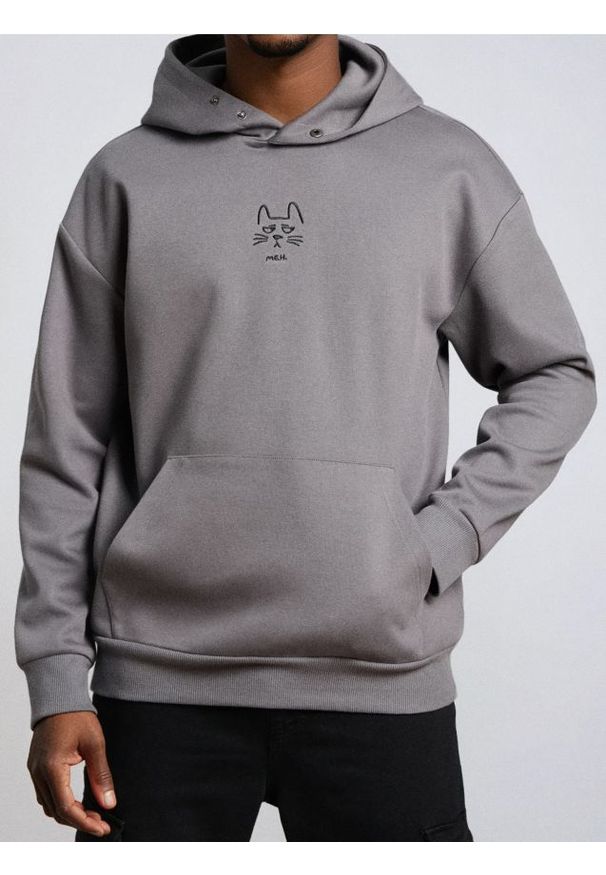 Sinsay - Bluza hoodie z haftem - szary. Kolor: szary. Wzór: haft