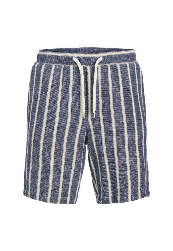 Szorty Jack & Jones Jaiden Coba Stripe ocean cavern. Kolor: szary, wielokolorowy. Sport: skateboard