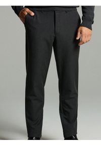 Sinsay - Eleganckie spodnie chino slim - szary. Kolor: szary. Styl: elegancki