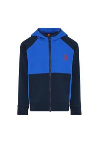 LEGO Wear - Bluza trekkingowa dziecięca LEGO Lwstorm 205. Kolor: niebieski
