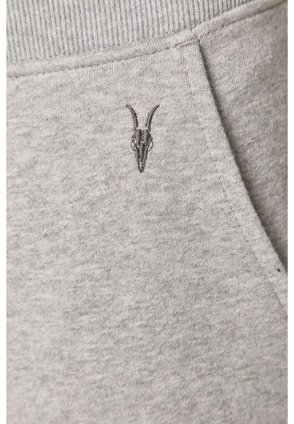 AllSaints - Spodnie Raven Sweat Pant. Kolor: szary. Materiał: materiał