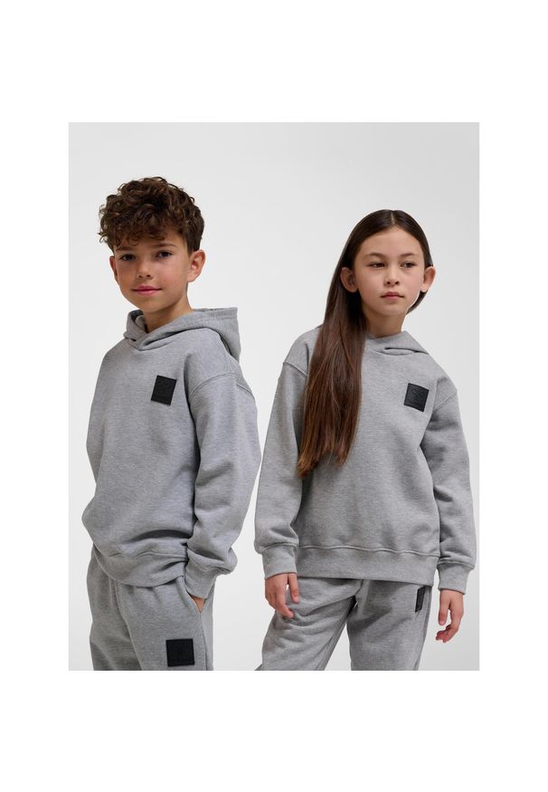 Bluza z kapturem dla dzieci Hummel Clean. Typ kołnierza: kaptur. Kolor: szary. Materiał: bawełna, materiał