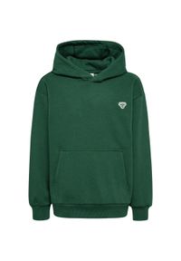 Bluza z kapturem dla dzieci Hummel Bee Loose. Typ kołnierza: kaptur. Kolor: zielony #1