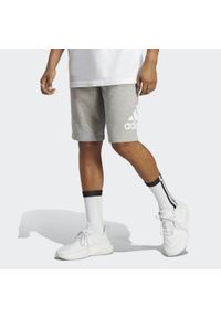Adidas - Szorty Essentials Big Logo French Terry. Kolor: szary. Sport: fitness