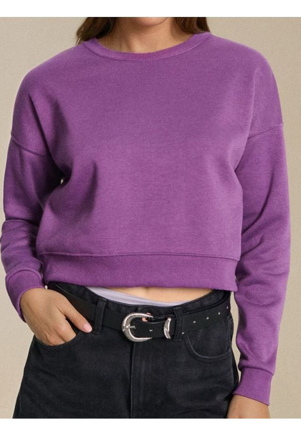 Sinsay - Gładka bluza crewneck - fioletowy. Kolor: fioletowy. Wzór: gładki