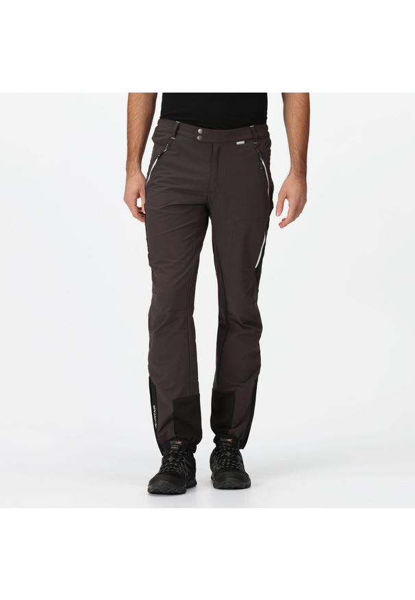 Regatta - Męskie spodnie trekkingowe górskie. Kolor: szary. Sezon: zima. Sport: turystyka piesza