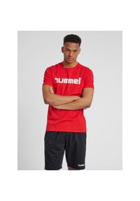 Koszulka sportowa z krótkim rękawem męska Hummel Cotton Logo. Kolor: różowy, wielokolorowy, czerwony. Długość rękawa: krótki rękaw. Długość: krótkie #1