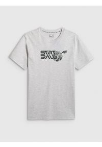 4f - 4F T-shirt regular z nadrukiem męski - szary 3XL. Okazja: na co dzień. Kolor: szary. Materiał: bawełna, materiał. Wzór: nadruk. Styl: casual, sportowy #1