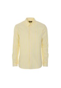 Ochnik - Koszula męska w żółte paski. Okazja: na co dzień. Typ kołnierza: button down. Kolor: żółty. Materiał: bawełna. Długość: długie. Wzór: paski. Styl: casual #2