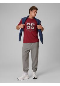 4f - 4F T-shirt regular z nadrukiem męski - czerwony XXL. Okazja: na co dzień, na spacer. Kolor: czerwony. Materiał: jeans, dzianina, bawełna, dresówka, materiał, jersey. Wzór: nadruk. Styl: casual, klasyczny #2