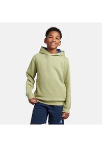 Bluza dziecięca New Balance LAKB0192EEN – zielona. Typ kołnierza: kaptur. Kolor: zielony. Materiał: bawełna. Wzór: aplikacja. Styl: sportowy