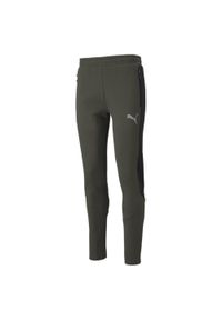 Spodnie Puma Evostripe. Kolor: zielony. Materiał: tkanina, polar. Sport: fitness #1