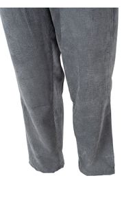 Xagon Man Spodnie | 2MD241P | Mężczyzna | Szary. Okazja: na co dzień. Kolor: szary. Materiał: poliester, elastan, poliamid. Sezon: lato. Styl: elegancki, casual, klasyczny #4