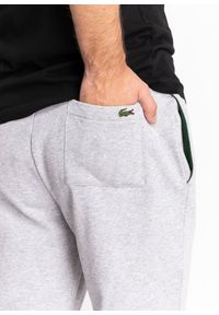 Spodnie męskie dresowe Lacoste Sport Croc Logo Jogger Pants (XH0229-CCA). Kolor: szary. Materiał: dresówka #2